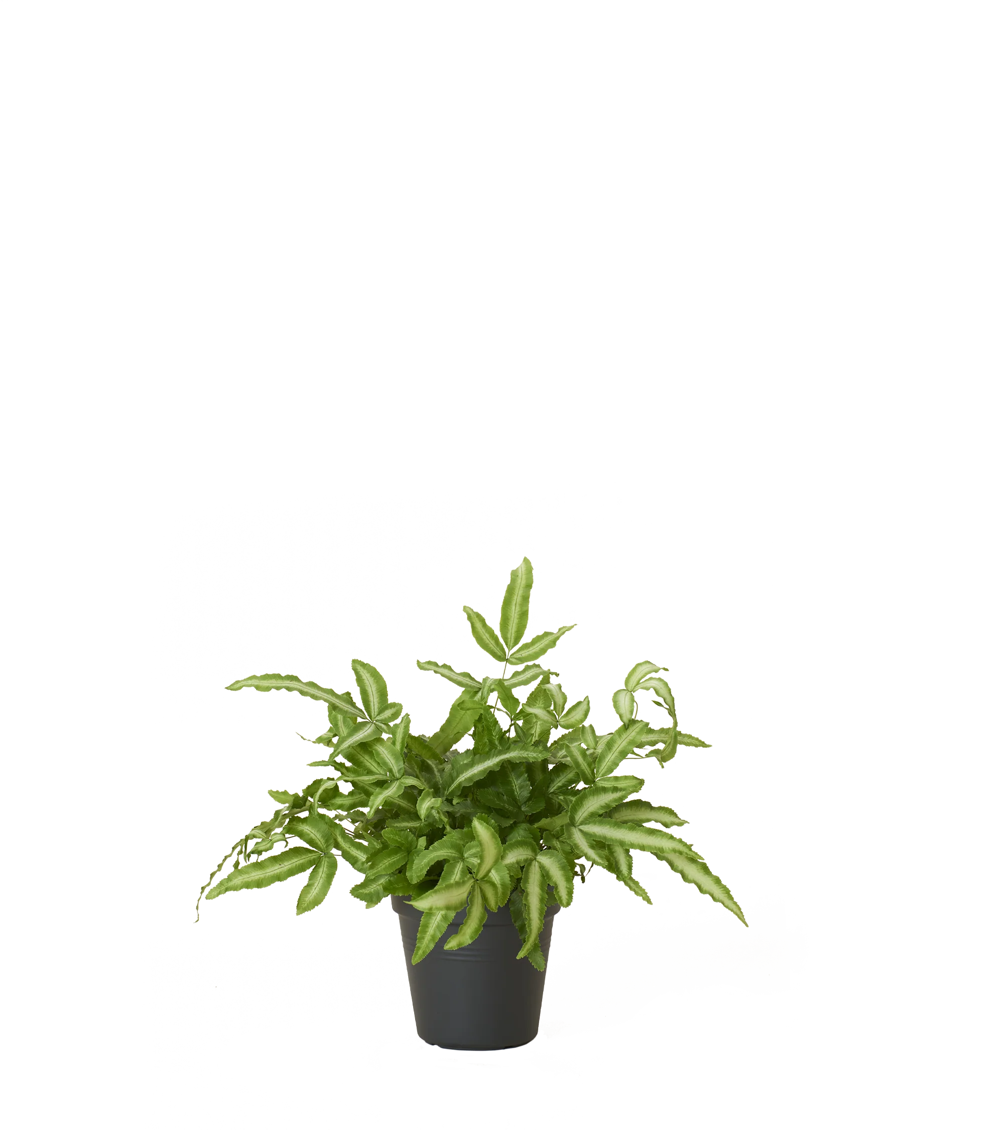 Produktbild 2