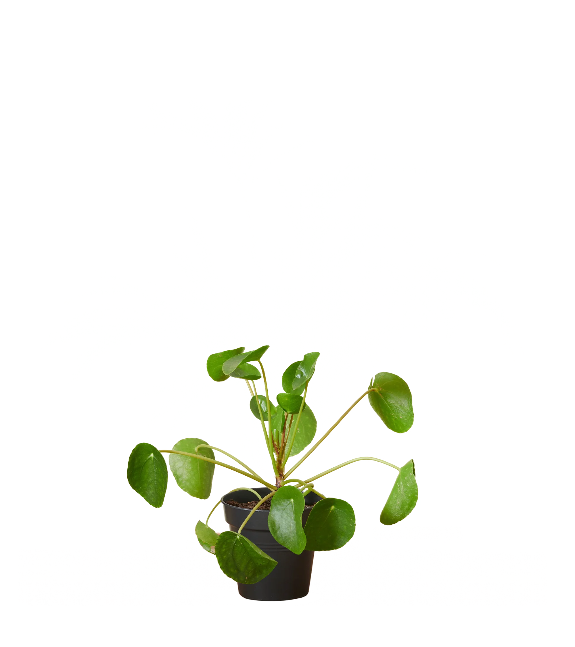 Produktbild 2