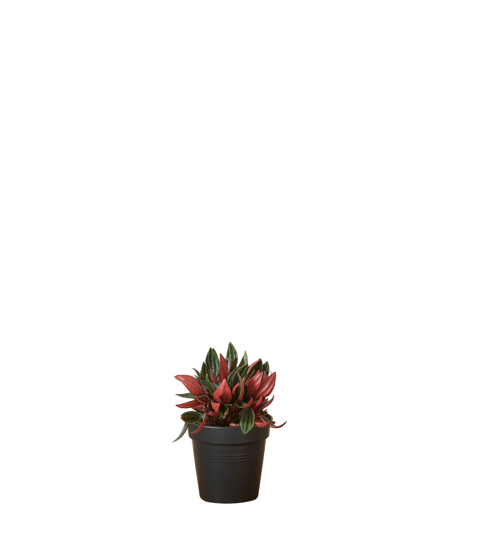 Produktbild 5